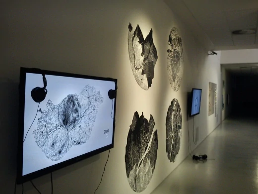 pronájem - Držák na zeď pro LED nebo plazma monitor či televizi